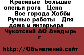 Красивые  большие оленьи рога › Цена ­ 3 000 - Все города Хобби. Ручные работы » Для дома и интерьера   . Чукотский АО,Анадырь г.